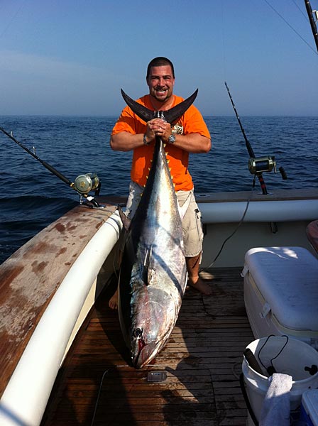 School Bluefin Tuna
