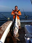 Schjool Bluefin Tuna